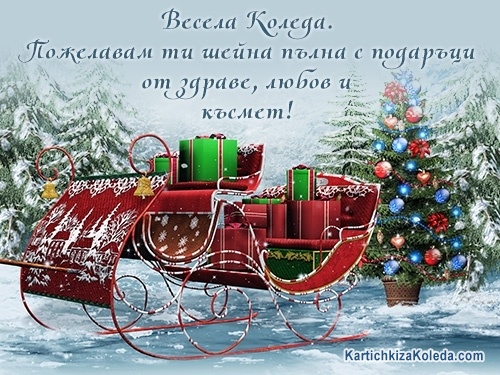 Весела Коледа. Пожелавам ти шейна пълна с подаръци от здраве, любов и късмет!