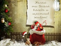 Желая ти Весела Коледа и щастлив живот!

