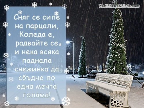 Сняг се сипе на парцали, Коледа е, радвайте се и нека всяка паднала снежинка да сбъдне по една мечта голяма!