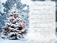 Пожелавам ти приказна Коледа с всички познати герои - дядо Коледа, Снежанка, джуджета и най-вече любимите ти хора! Весела Коледа!