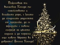 Пожелавам ти вълшебна Коледа със семейството и близките хора, с които да споделите радостта от празника, да се заредите с повече енергия за цялата година и да порасне още повече вярата ви в доброто! Весела Коледа!