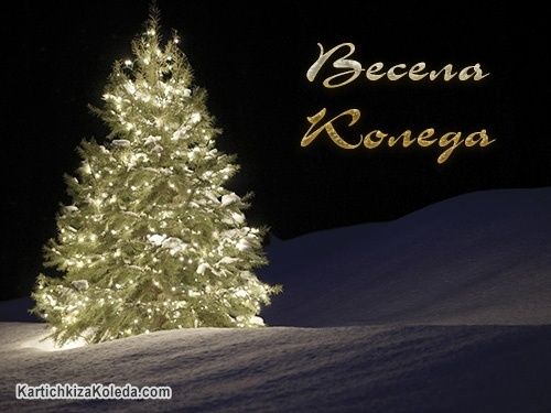 Весела Коледа