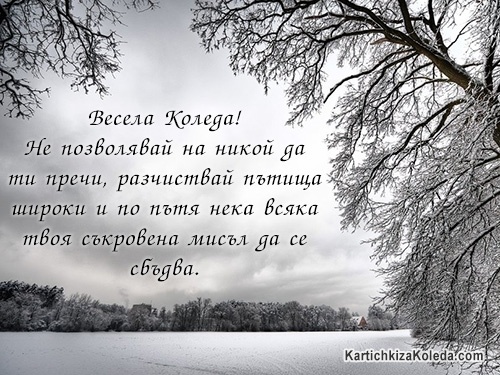 Весела Коледа! Не позволявай на никой да ти пречи, разчиствай пътища широки и по пътя нека всяка твоя съкровена мисъл да се сбъдва.