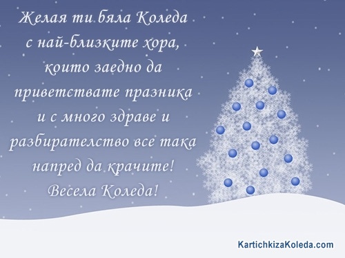 Желая ти бяла Коледа с най-близките хора, които заедно да приветствате празника и с много здраве и разбирателство все така напред да крачите! Весела Коледа!